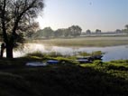 morgens an der Oder